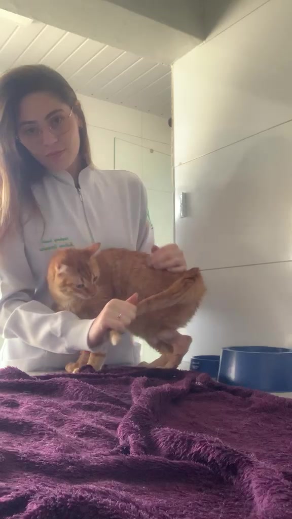 Stephany acariciando um gato laranja